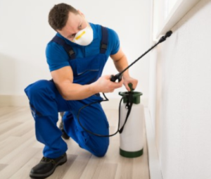 pest control services