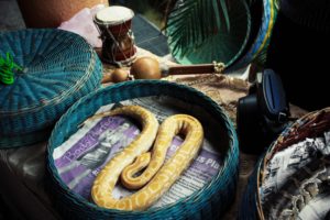 a snake in a basket